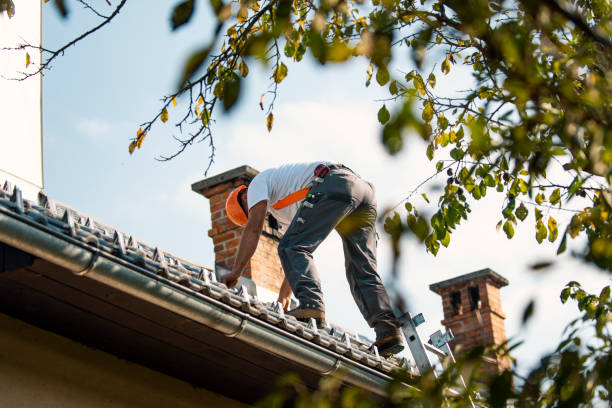 Best Flat Roof Repair Services  in Martinsburg, WV